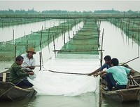 关于荷生名言名句