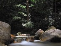 一念繁华的优美句子