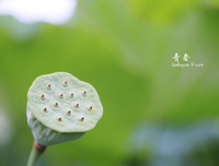  成败 句子大全