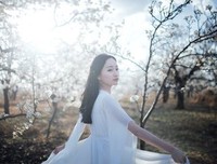最经典的《雨季不再来》散文美句