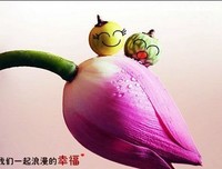 珍惜曾经的美好