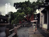 最新的烟雨 江南 名人名言
