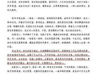 《落花时节又逢君》小说摘抄大全