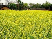 最新的谁解沉舟名言名句