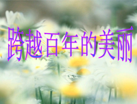 描写胡百年的经典句子