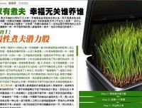 最新的《好婚姻，吃个家有是一次要一一次爱上对作时她