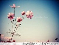 爱是雨中的一把伞
