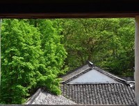 有一种爱，叫默默守望