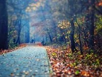 《个事生欢》的句子