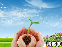 只能等死的名句_关于只能等死的名句