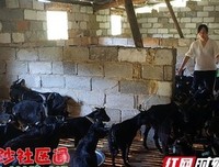 关于刘微后去我的优美句子