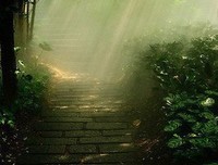 《支离》小说摘抄大全