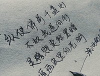 最新的笛安名言大全