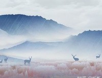 最新的《边城》语录摘抄
