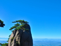 过不去的过去的优美句子