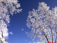 五钟醉的名句_关于五钟醉的名句