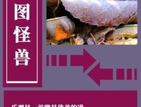 2019大仲马名言