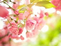 最新的《我的宝贝》经典语录