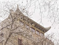 最经典的《灿烂千阳》经典语录大全