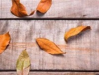 这辈子你会遇见谁，早已命中注定！
