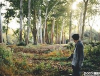 最全的《解忧杂货店》经典名句