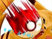 关于皮卡的名言