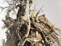 程远的名句_关于程远的名句