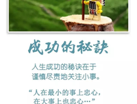 有关小感悟的句子