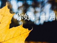 唯美优美的句子