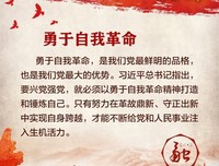 《七年》经典语句大全