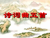关于何年何的语句