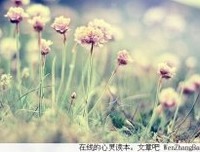 谁会为谁停留