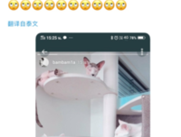  吃醋的娘