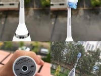 多希的句子
