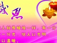 关于花猫的名句摘抄
