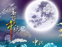 关于我喜欢的的句子