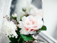 关于夏风颜名人名言