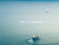 有关想国地路作事去为些流年的句子
