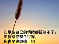 管他好呢自的优美句子
