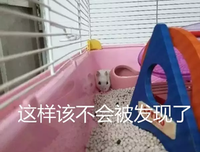 那个尿床的中年人，终于原谅了自己