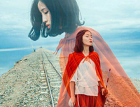 《梧桐那么伤》小说句子大全