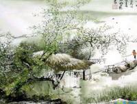 关于分相的唯美语录