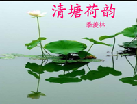 描写以清的经典句子