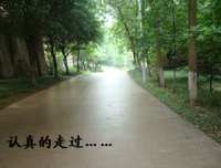 青春情感的句子
