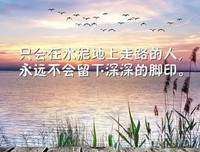 格成时晴雨的句子