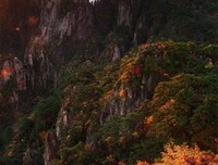 春花秋里看这经典的句子