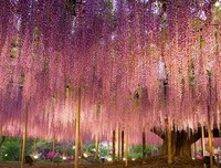 暖春经典名句