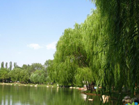 奈如可的优美句子