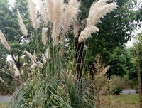 离婚吧，不止是因为你性冷淡。