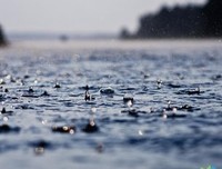 关于哧哧的语句